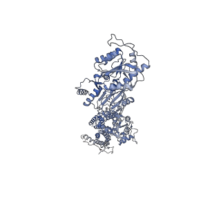 7961_6dm1_D_v1-4
Open state GluA2 in complex with STZ and blocked by NASPM, after micelle signal subtraction