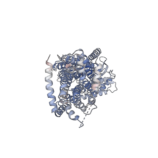 7964_6dmo_A_v1-2
Cryo-EM structure of human Ptch1 with three mutations L282Q/T500F/P504L