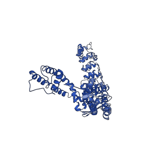 7965_6dmr_A_v1-1
Lipid-bound full-length rbTRPV5