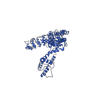 7965_6dmr_B_v1-1
Lipid-bound full-length rbTRPV5