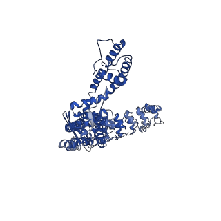 7965_6dmr_C_v1-1
Lipid-bound full-length rbTRPV5