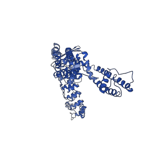7965_6dmr_D_v1-1
Lipid-bound full-length rbTRPV5
