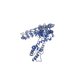 7967_6dmw_B_v1-2
Calmodulin-bound full-length rbTRPV5