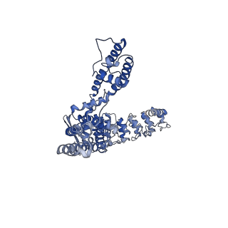 7967_6dmw_C_v1-2
Calmodulin-bound full-length rbTRPV5