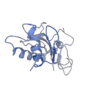 7968_6dmy_B_v1-2
Cryo-EM structure of human Ptch1 and ShhN complex