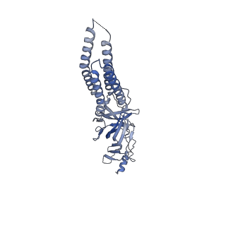 27552_8dn2_A_v1-2
Cryo-EM structure of human Glycine Receptor alpha1-beta heteromer, glycine-bound state 2(expanded open)