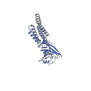 27552_8dn2_B_v1-2
Cryo-EM structure of human Glycine Receptor alpha1-beta heteromer, glycine-bound state 2(expanded open)