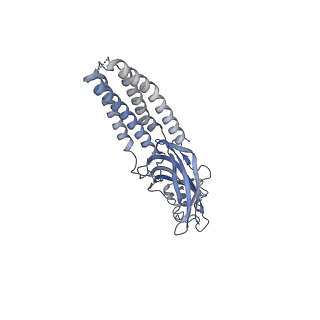 27552_8dn2_C_v1-2
Cryo-EM structure of human Glycine Receptor alpha1-beta heteromer, glycine-bound state 2(expanded open)