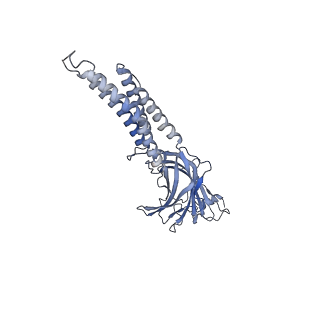 27552_8dn2_D_v1-2
Cryo-EM structure of human Glycine Receptor alpha1-beta heteromer, glycine-bound state 2(expanded open)