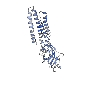 27552_8dn2_E_v1-2
Cryo-EM structure of human Glycine Receptor alpha1-beta heteromer, glycine-bound state 2(expanded open)