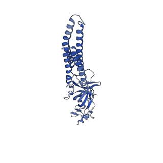 27553_8dn3_A_v1-2
Cryo-EM structure of human Glycine Receptor alpha1-beta heteromer, apo state