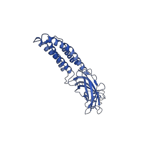 27553_8dn3_C_v1-2
Cryo-EM structure of human Glycine Receptor alpha1-beta heteromer, apo state