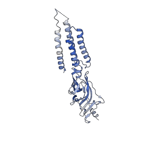27553_8dn3_E_v1-2
Cryo-EM structure of human Glycine Receptor alpha1-beta heteromer, apo state