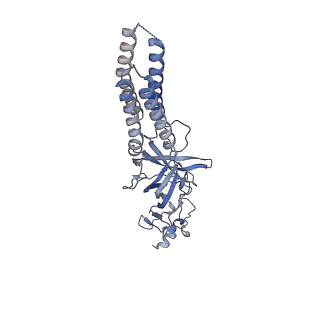 27554_8dn4_A_v1-2
Cryo-EM structure of human Glycine Receptor alpha-1 beta heteromer, glycine-bound state3(desensitized state)