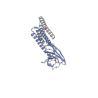 27554_8dn4_B_v1-2
Cryo-EM structure of human Glycine Receptor alpha-1 beta heteromer, glycine-bound state3(desensitized state)