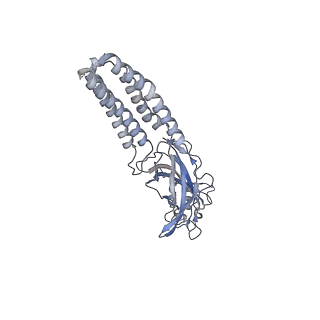 27554_8dn4_C_v1-2
Cryo-EM structure of human Glycine Receptor alpha-1 beta heteromer, glycine-bound state3(desensitized state)