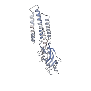 27554_8dn4_E_v1-2
Cryo-EM structure of human Glycine Receptor alpha-1 beta heteromer, glycine-bound state3(desensitized state)