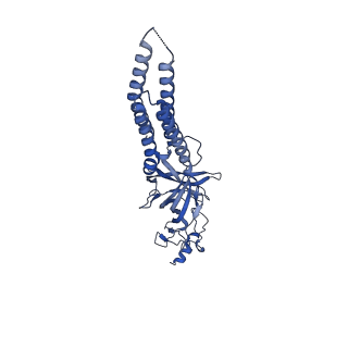 27555_8dn5_A_v1-2
Cryo-EM structure of human Glycine Receptor alpha1-beta heteromer, glycine-bound state1(open state)