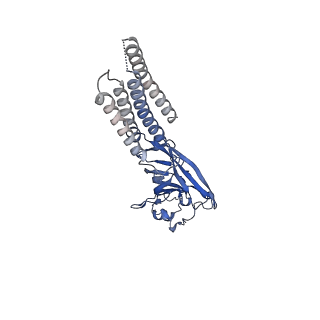 27555_8dn5_B_v1-2
Cryo-EM structure of human Glycine Receptor alpha1-beta heteromer, glycine-bound state1(open state)