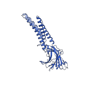 27555_8dn5_D_v1-2
Cryo-EM structure of human Glycine Receptor alpha1-beta heteromer, glycine-bound state1(open state)
