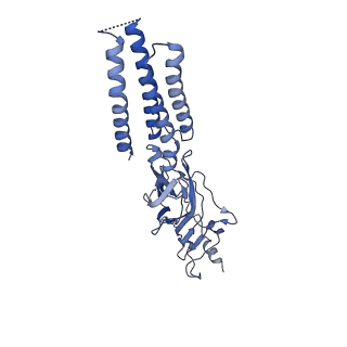 27555_8dn5_E_v1-2
Cryo-EM structure of human Glycine Receptor alpha1-beta heteromer, glycine-bound state1(open state)
