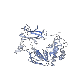 27556_8dn8_C_v1-0
CryoEM structure of the A. aeolicus WzmWzt transporter bound to 3-O-methyl-D-mannose