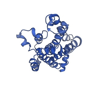 27556_8dn8_D_v1-0
CryoEM structure of the A. aeolicus WzmWzt transporter bound to 3-O-methyl-D-mannose