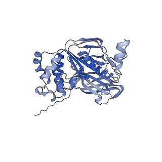 27563_8dnc_A_v1-0
CryoEM structure of the A. aeolicus WzmWzt transporter bound to the native O antigen and ADP