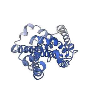 27563_8dnc_B_v1-0
CryoEM structure of the A. aeolicus WzmWzt transporter bound to the native O antigen and ADP