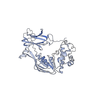 27563_8dnc_C_v1-0
CryoEM structure of the A. aeolicus WzmWzt transporter bound to the native O antigen and ADP