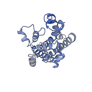 27563_8dnc_D_v1-0
CryoEM structure of the A. aeolicus WzmWzt transporter bound to the native O antigen and ADP