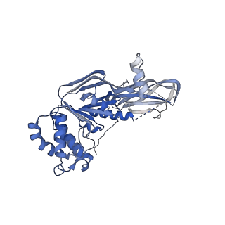 27564_8dne_A_v1-0
CryoEM structure of the A.aeolicus WzmWzt transporter bound to ATP