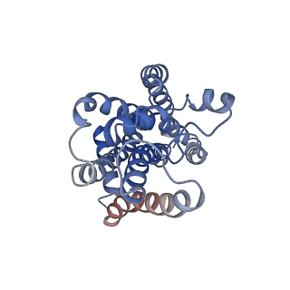 27564_8dne_B_v1-0
CryoEM structure of the A.aeolicus WzmWzt transporter bound to ATP