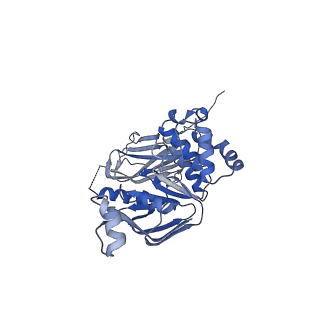 27564_8dne_C_v1-0
CryoEM structure of the A.aeolicus WzmWzt transporter bound to ATP