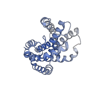 27564_8dne_D_v1-0
CryoEM structure of the A.aeolicus WzmWzt transporter bound to ATP