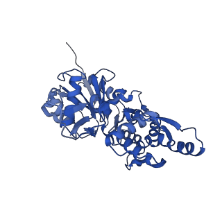 27565_8dnf_A_v1-0
Cryo-EM structure of nonmuscle gamma-actin