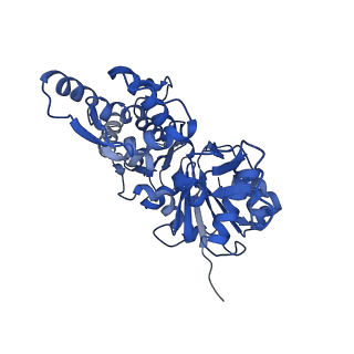27565_8dnf_B_v1-0
Cryo-EM structure of nonmuscle gamma-actin