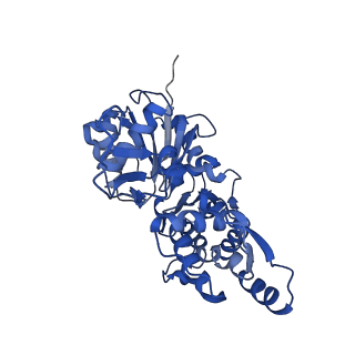 27565_8dnf_C_v1-0
Cryo-EM structure of nonmuscle gamma-actin