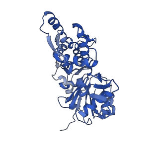 27565_8dnf_D_v1-0
Cryo-EM structure of nonmuscle gamma-actin