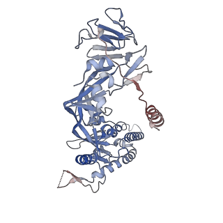 27566_8dng_A_v1-1
Prefusion-stabilized Nipah virus fusion protein