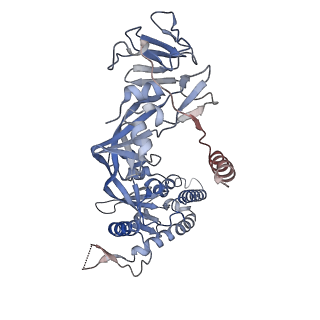 27566_8dng_A_v1-2
Prefusion-stabilized Nipah virus fusion protein