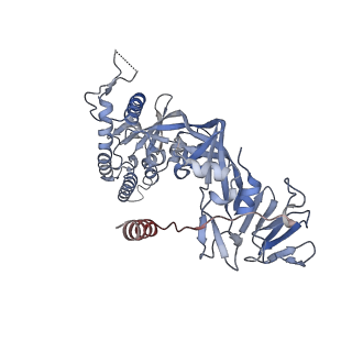 27566_8dng_D_v1-1
Prefusion-stabilized Nipah virus fusion protein