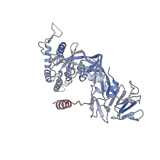 27566_8dng_D_v1-2
Prefusion-stabilized Nipah virus fusion protein