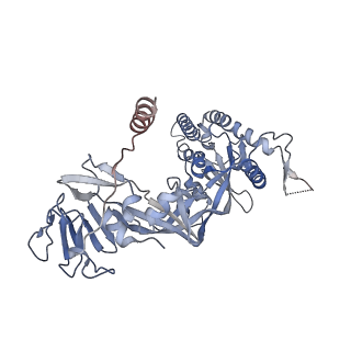27566_8dng_G_v1-1
Prefusion-stabilized Nipah virus fusion protein