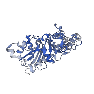 27572_8dnh_A_v1-0
Cryo-EM structure of nonmuscle beta-actin