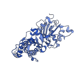 27572_8dnh_B_v1-0
Cryo-EM structure of nonmuscle beta-actin