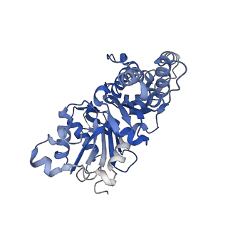 27572_8dnh_C_v1-0
Cryo-EM structure of nonmuscle beta-actin
