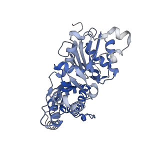 27572_8dnh_D_v1-0
Cryo-EM structure of nonmuscle beta-actin