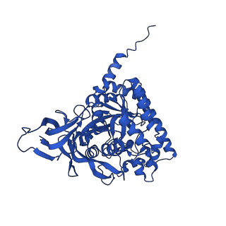 27574_8dnm_A_v1-1
Human Brain Dihydropyrimidinase-related protein 2