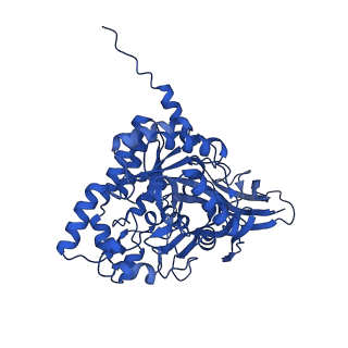 27574_8dnm_B_v1-1
Human Brain Dihydropyrimidinase-related protein 2